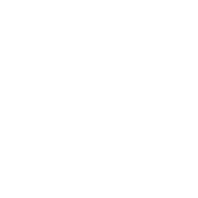 Shopify Strategy